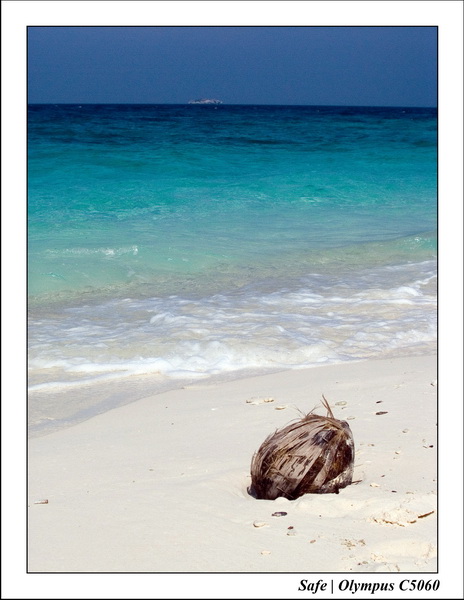 2006 - 07 - Tioman - Coral island 14